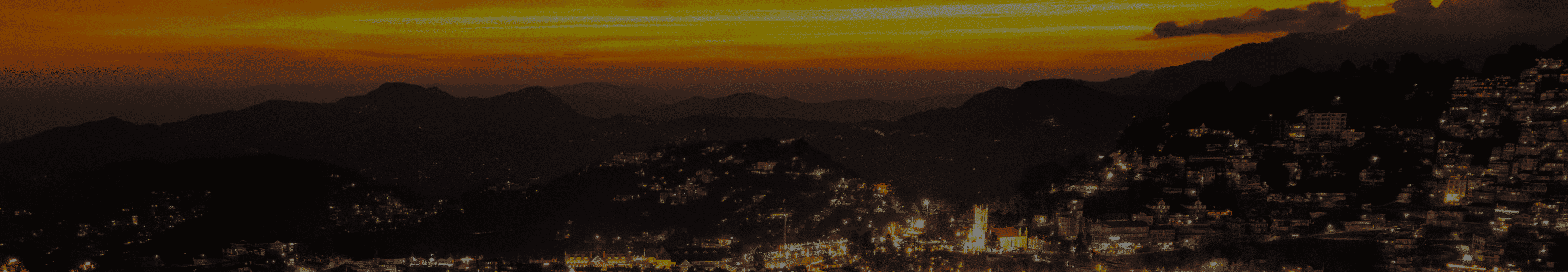 banner-image