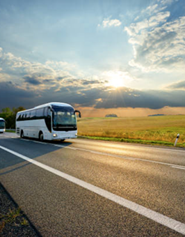 TRANSPORT